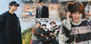The WONDERfools